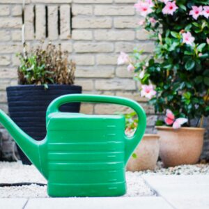 Self Watering Plant Pot – Medium