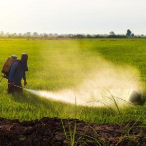 Liquid Plant Fertilizer – 1L